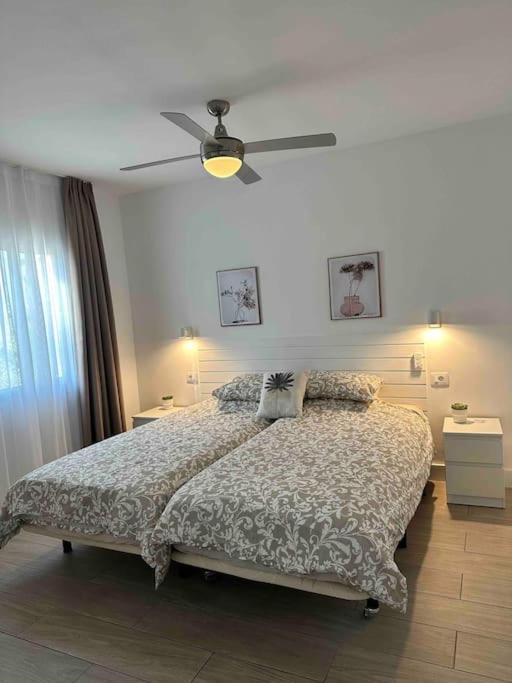 Pachi Beach Alisios Playa Κοραλέχο Εξωτερικό φωτογραφία